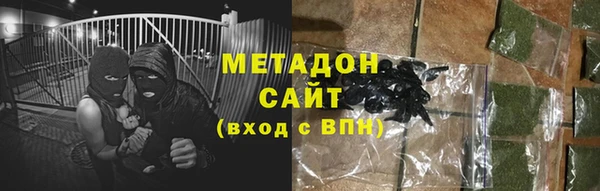 прущие грибы Алзамай