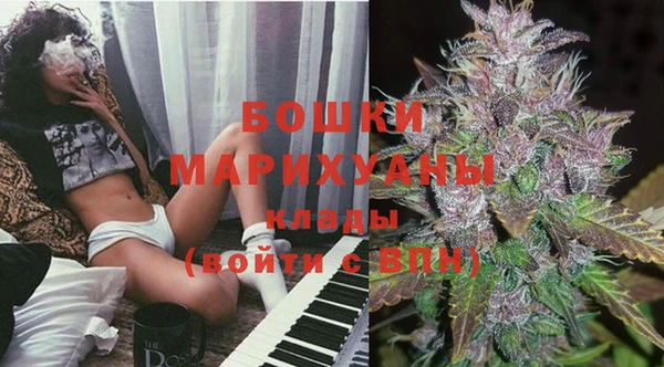 гашик Михайловка