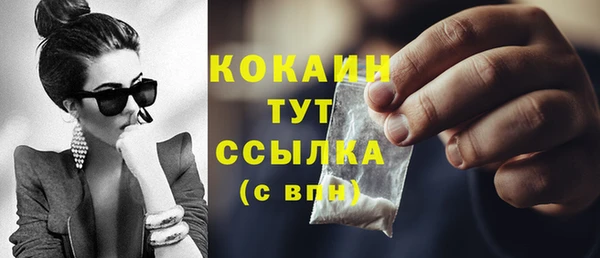 гашик Михайловка