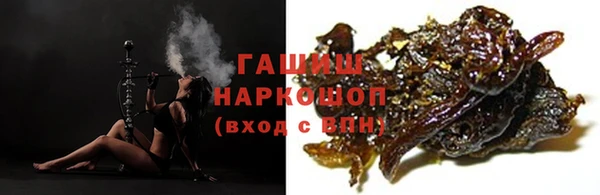 прущие грибы Алзамай