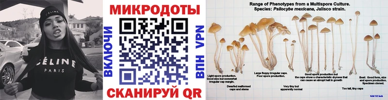 Галлюциногенные грибы прущие грибы  hydra ТОР  Коркино  где купить наркоту 